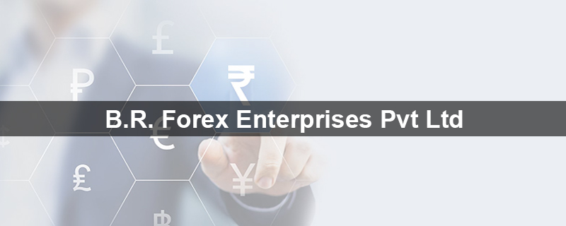 B.R. Forex Enterprises Pvt Ltd 